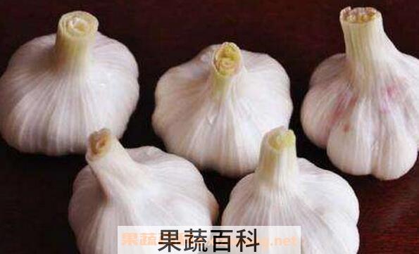 大蒜的功效与作用 吃大蒜有什么功效