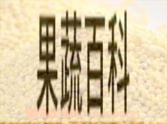 果蔬百科大黄米和小米