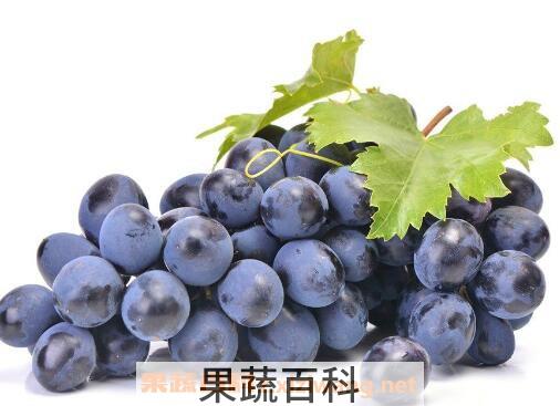  葡萄皮怎么容易剥 葡萄的营养价值