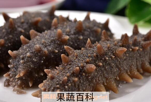 干海参如何泡发 干海参怎么泡发最好