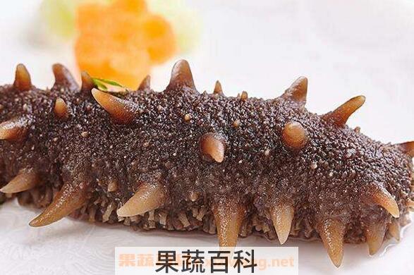 干海参如何泡发 干海参怎么泡发最好