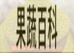 果蔬百科黄小米
