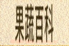 果蔬百科栗米