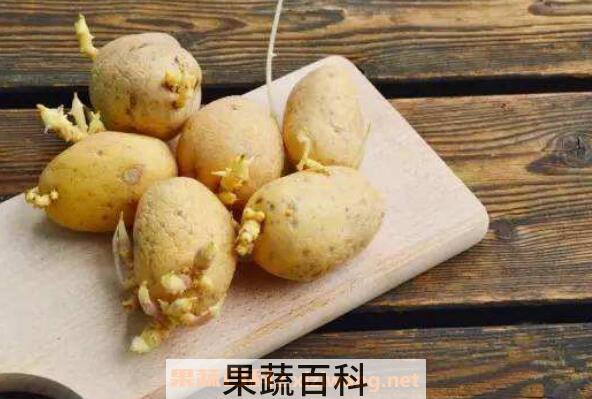 土豆发芽了还能吃吗 吃发芽土豆的危害