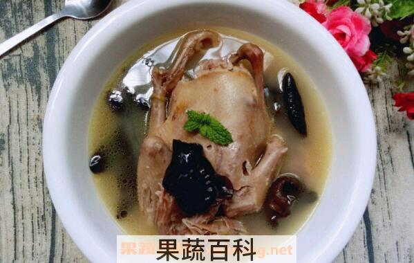 鸽子汤的功效与作用及做法