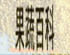 果蔬百科黍米