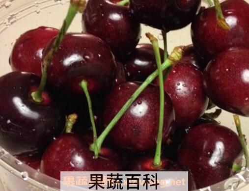 车厘子和樱桃的区别有哪些