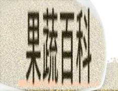 果蔬百科绿小米