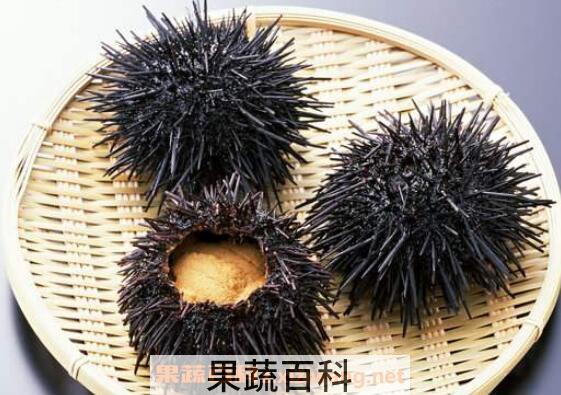 海胆怎么吃图解 海胆的正确吃法
