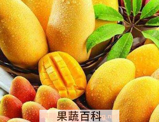 多吃芒果好吗 吃芒果的好处与坏处
