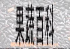 果蔬百科紫米和黑米