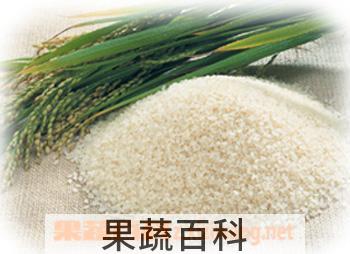 果蔬百科大米