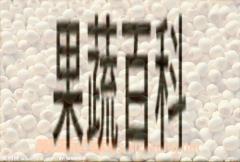 果蔬百科莲子