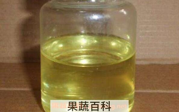 大蒜油的功效与作用及禁忌