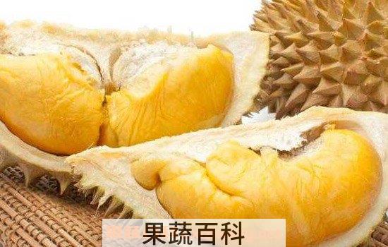 榴莲