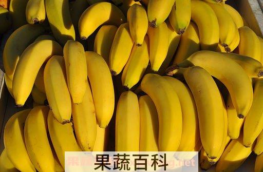 香蕉的功效与作用