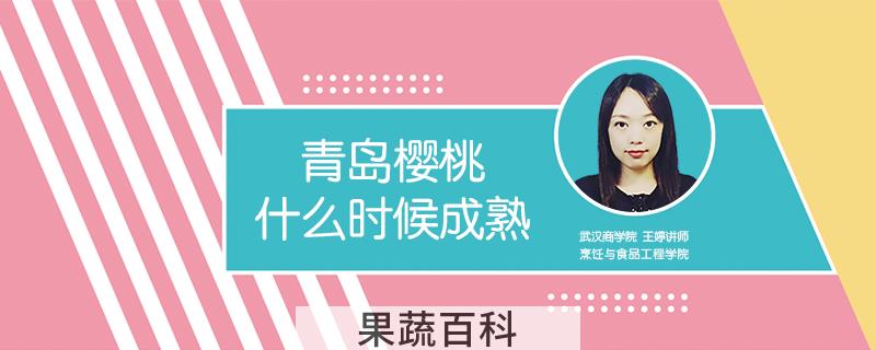 青岛樱桃什么时候成熟