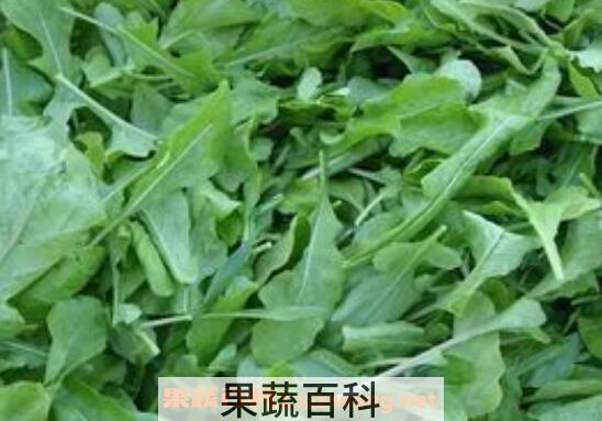 芝麻叶洗头的功效与作用 芝麻叶怎么洗头