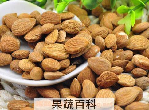 燀苦杏仁的功效与作用