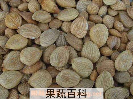 燀苦杏仁的功效与作用