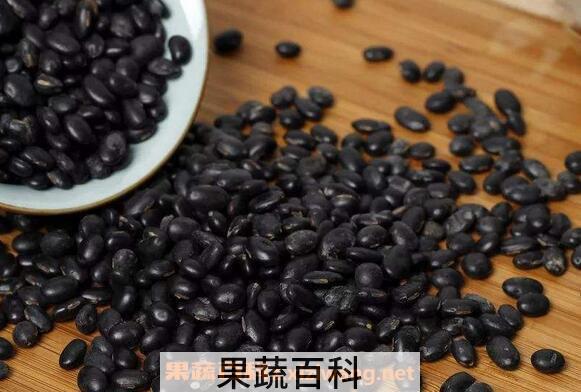 黑豆怎么吃最好 吃黑豆最简单的吃法