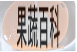 果蔬百科