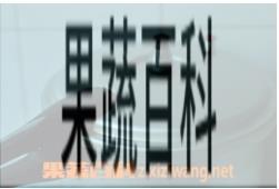果蔬百科