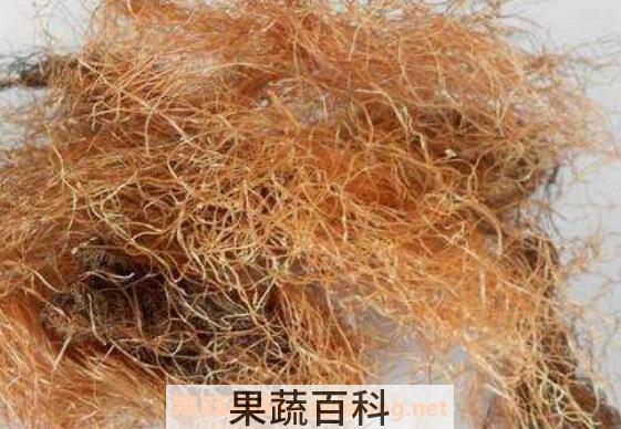 玉米须泡水喝的功效 玉米须煮水的功效