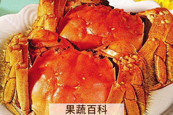 大闸蟹怎样煮 怎样制作大闸蟹