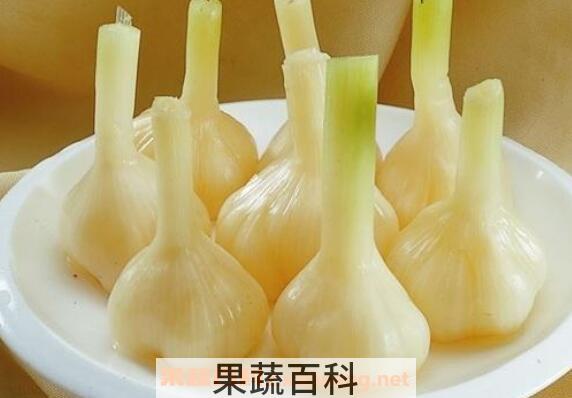 蜂蜜加大蒜的功效 蜂蜜腌大蒜的做法大全