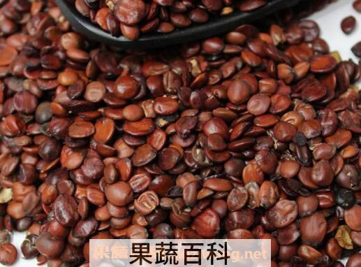 炒酸枣仁的功效与作用