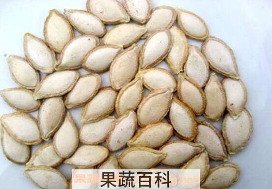 南瓜子能降血糖吗 吃南瓜子的功效与作用有哪些