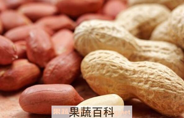 花生的功效与作用 花生的营养价值