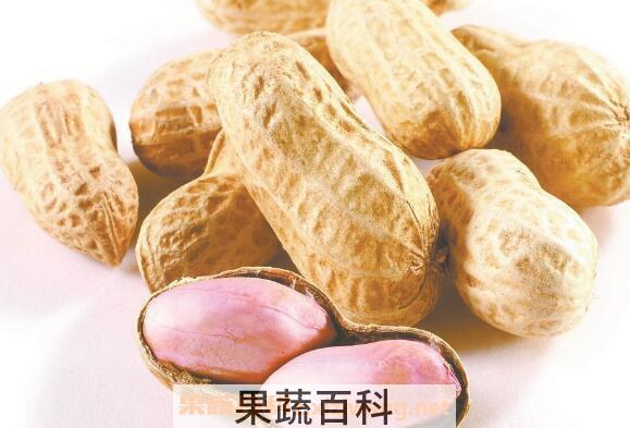 花生的功效与作用 花生的营养价值