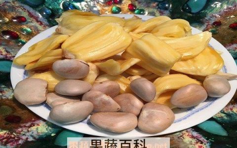 菠萝蜜的功效及食用价值 菠萝蜜的功效与禁忌的功效与作用