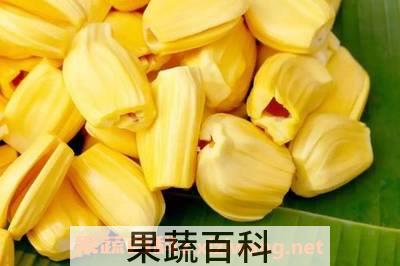 食用菠萝蜜禁忌