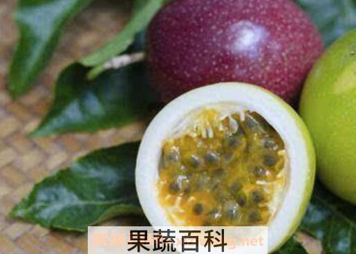 百香果的功效与作用 吃百香果有什么好处