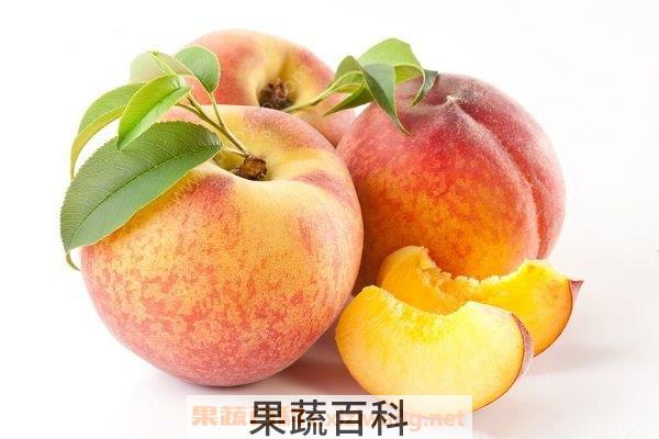 食用桃子的禁忌