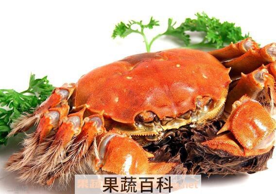 螃蟹死了还能吃吗 吃死螃蟹的危害与副作用