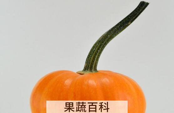 南瓜把的功效与作用
