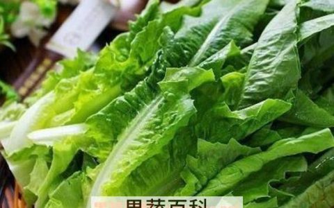 莴笋叶子能吃吗 莴笋不能和什么一起吃