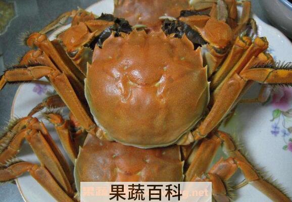 怎么煮螃蟹 煮螃蟹的做法步骤