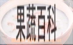 果蔬百科砂锅虾粥