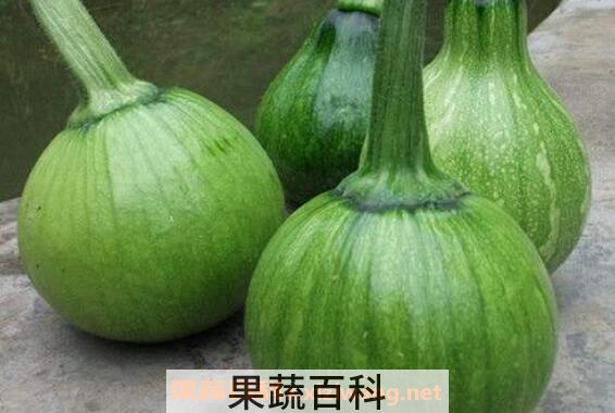 子南瓜怎么做 子南瓜怎么炒好吃