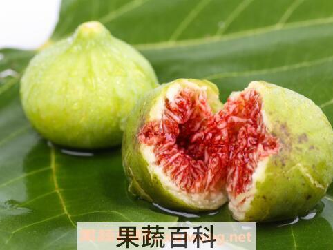 无花果对男人的功效