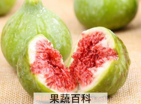 无花果对男人的功效