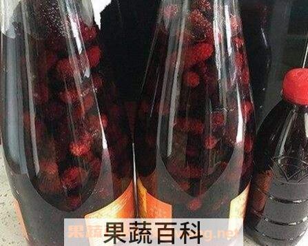 桑葚怎么泡酒 桑葚泡酒的方法教程