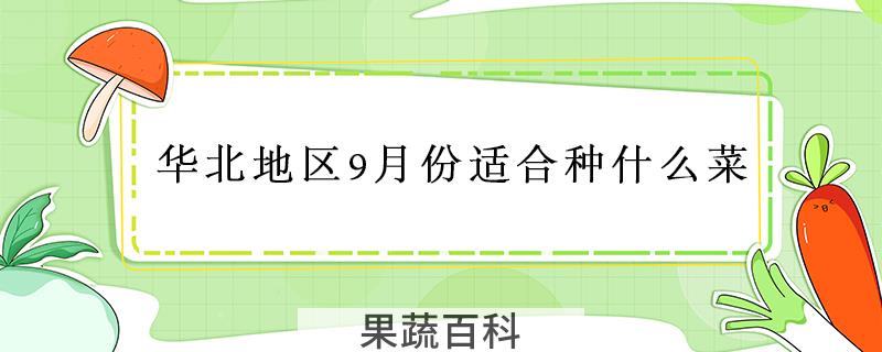 华北地区9月份适合种什么菜