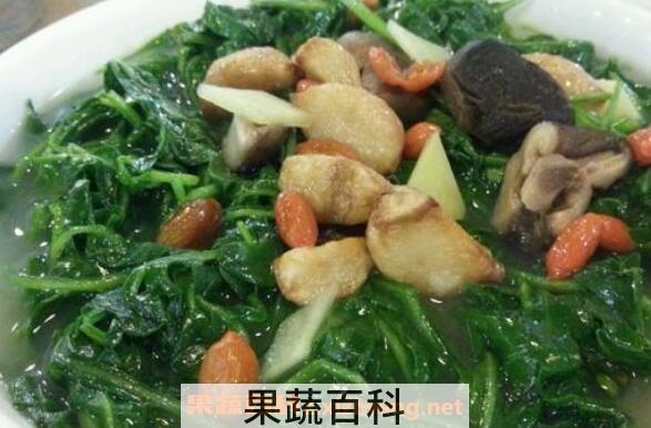 芝麻叶怎么吃 新鲜芝麻叶的做法