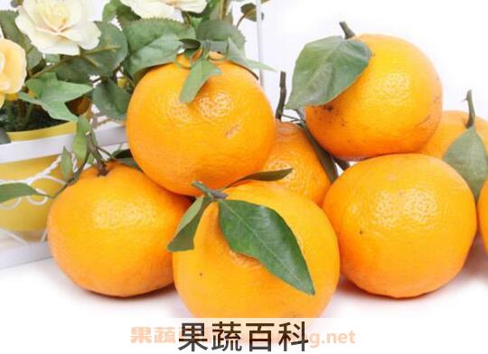 贡柑的功效与作用 贡柑上火吗